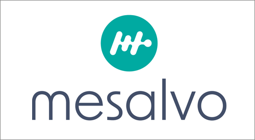 Logo Mesalvo